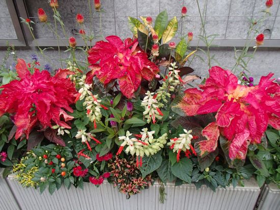 10,15 konntena 3.jpg