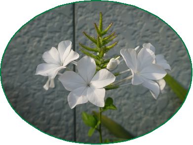 DSC01376.JPG