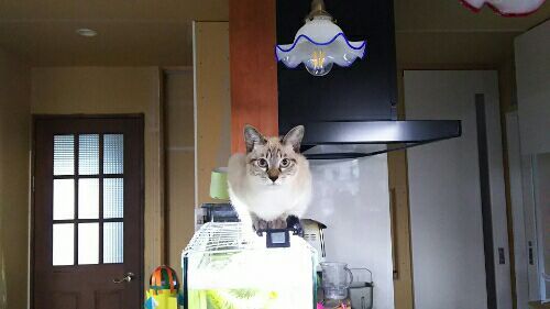 rblog-20171215214754-00.jpg