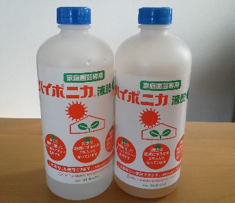 121019haiponika.JPG