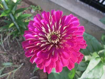IMG_1535.jpg