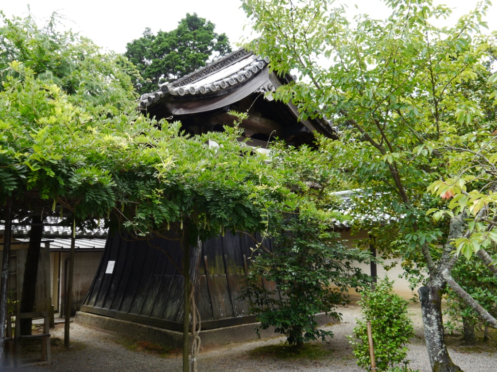 P1080283.JPG