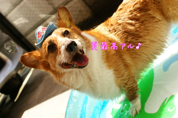 水遊び-6.JPG