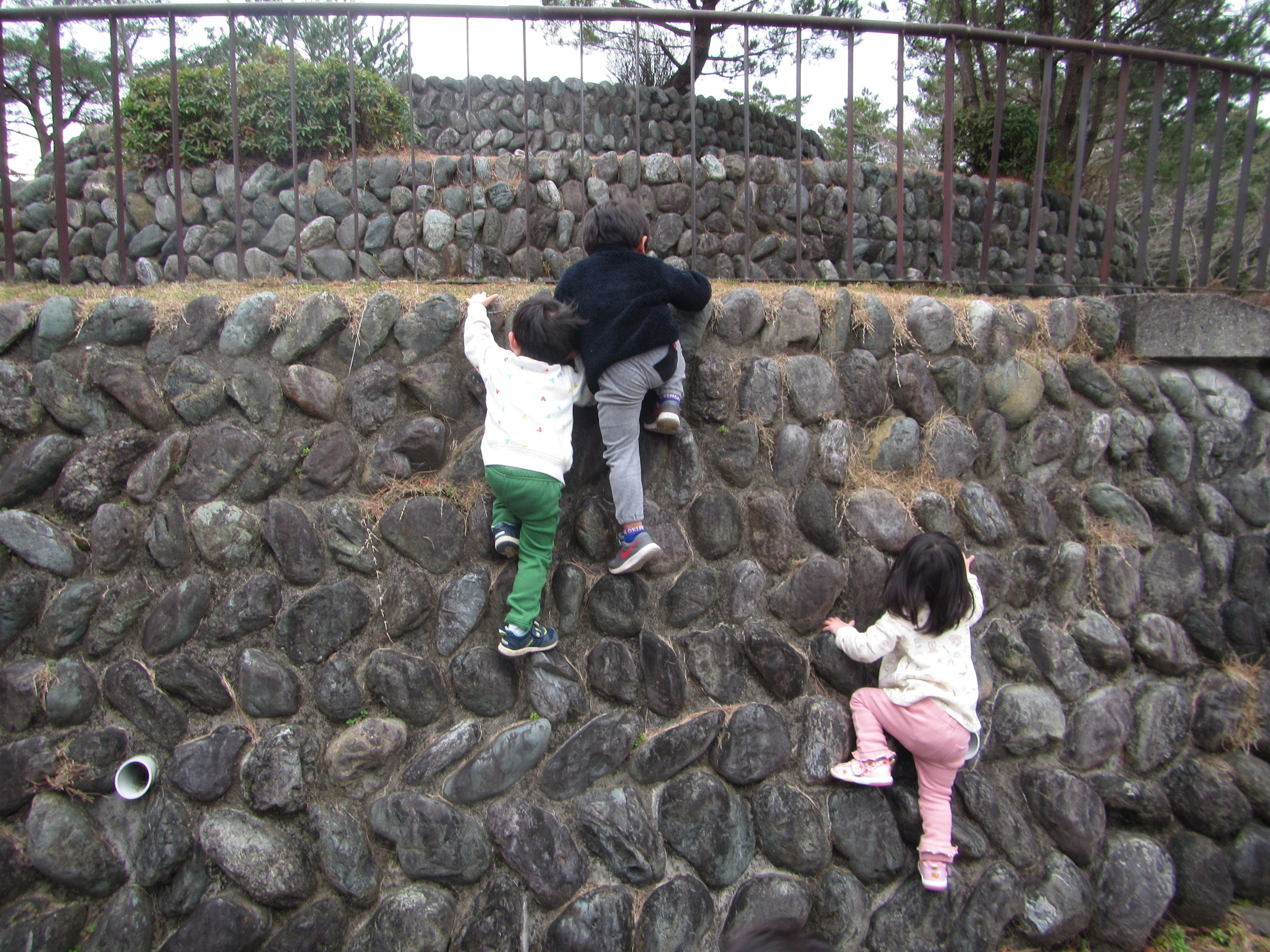 金山登山 | 認定こども園 アプリコット保育園 - 楽天ブログ
