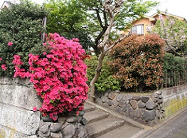 IMG_8518-16.jpg