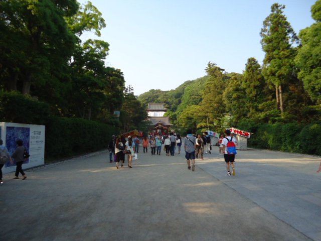 DSC01646.JPG