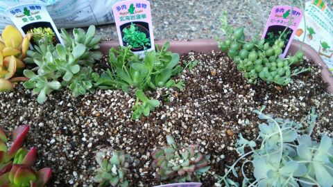 rblog-20140328231318-00.jpg