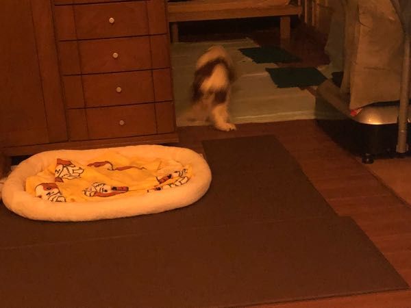 rblog-20180410042837-02.jpg