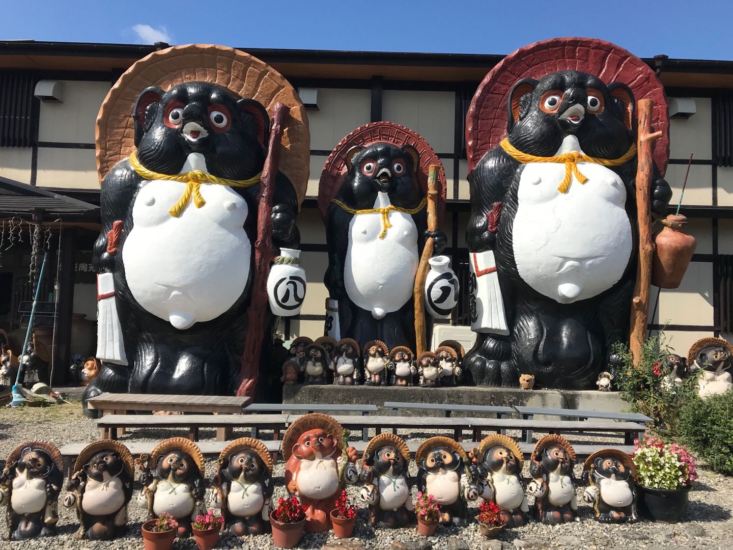 信楽焼? 伊賀焼? だるま大師 Ｅ-3158 : 丸伊製陶 信楽焼 狸 置き物 開運狸 タヌキ 陶器 大きい