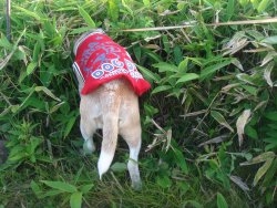 20130720怖いもの見たさ