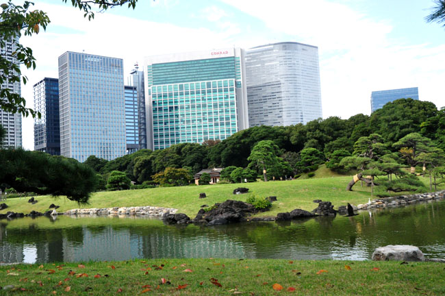 庭園１