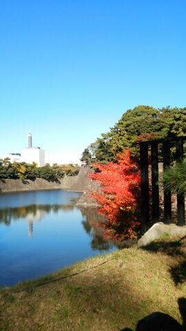 rblog-20141203204131-02.jpg