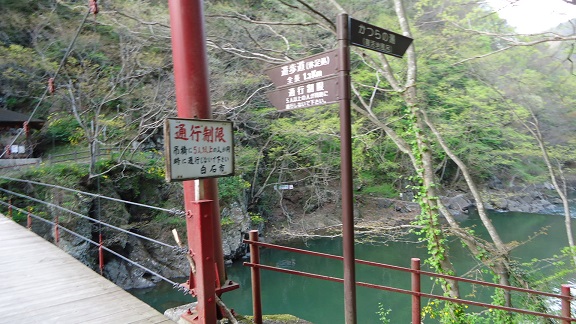 DSC00942-1.jpg