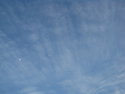 IMG_0127.JPG