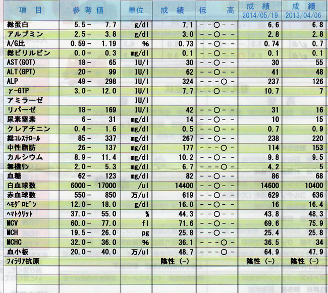 健康診断報告書