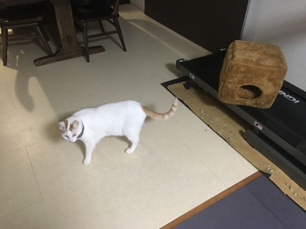 rblog-20181122063323-08.jpg