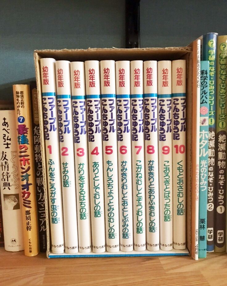 ファーブル昆虫記 次のステージへ どこいくの 楽天ブログ