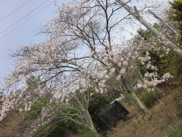 iidate_20130420b