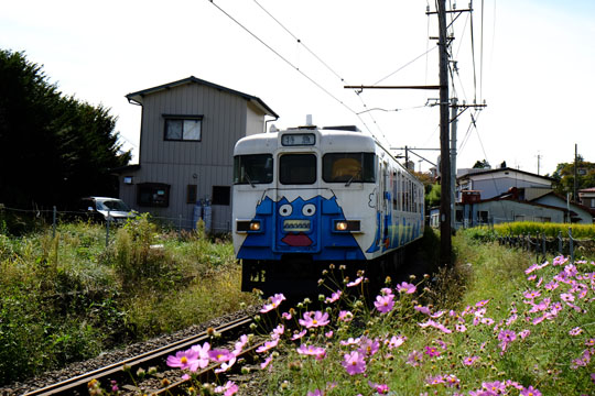 DSCF8942.jpg