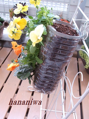 2012_0205トレッサ用寄せ植えとクレマチスの講座とカ0026.JPG