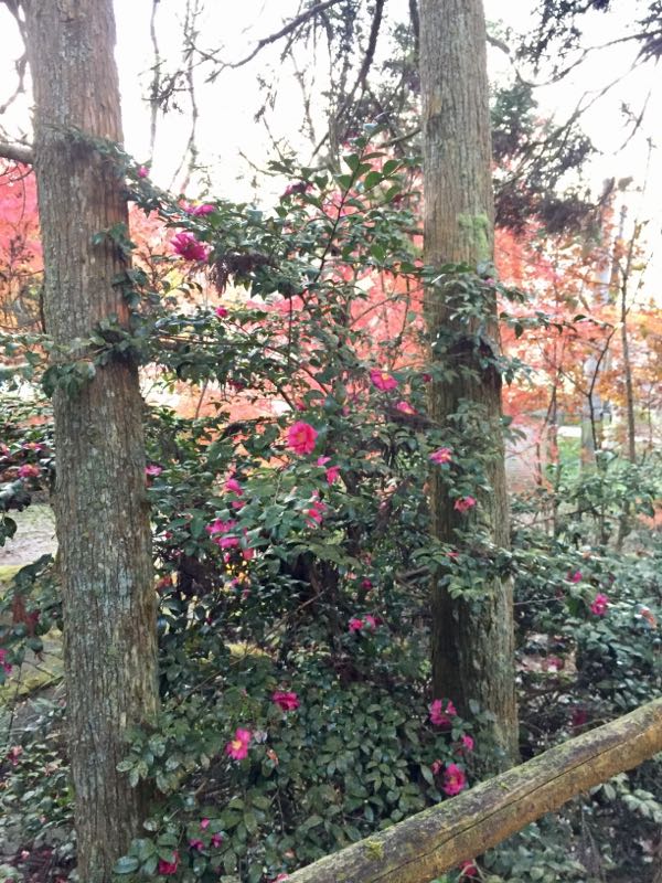 rblog-20161212091008-07.jpg