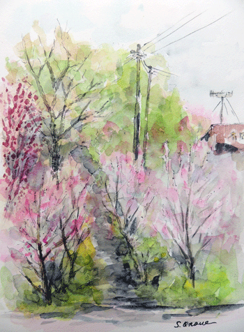 027.gif
