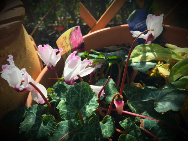 rblog-20160225160708-03.jpg