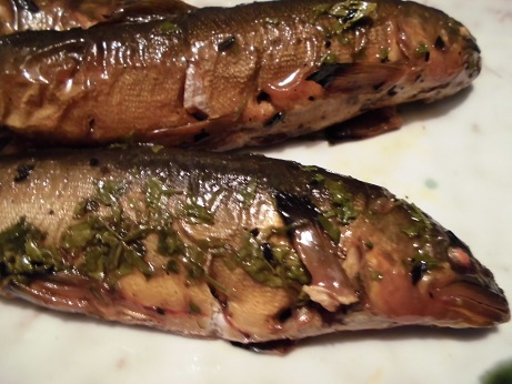 鮎甘露煮
