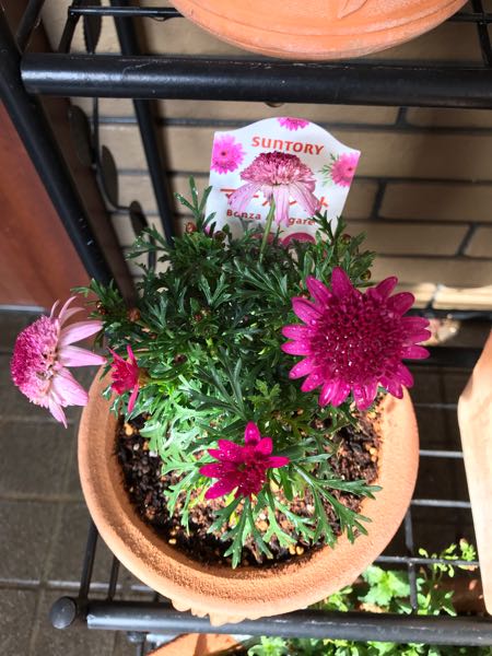 rblog-20190401164244-08.jpg