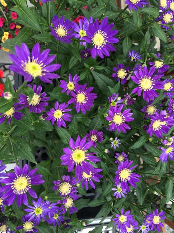 rblog-20140419222437-01.jpg