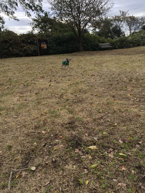 rblog-20161110172616-03.jpg