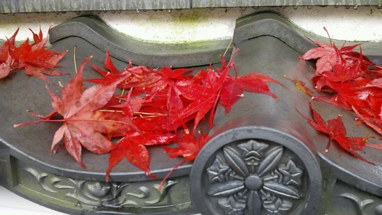 瓦の紅葉