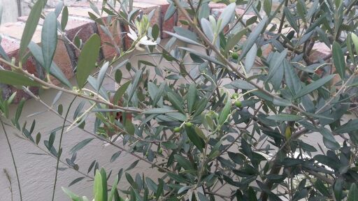 rblog-20140618090642-01.jpg