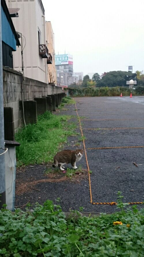 rblog-20151109224126-01.jpg