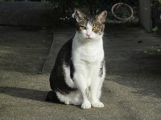 IMG_0290ss.jpg
