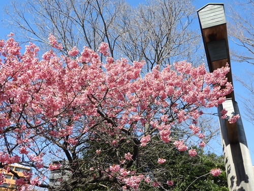 荏原神社にて