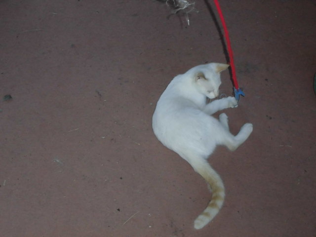 CIMG0480.JPG