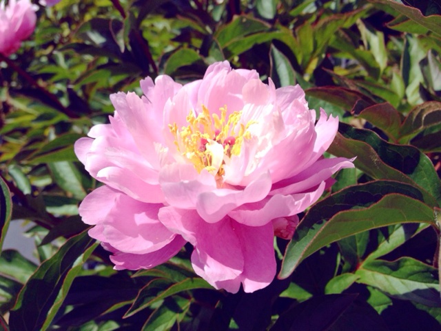 rblog-20130503150145-01.jpg
