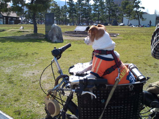 2012-03-30 17:44:20