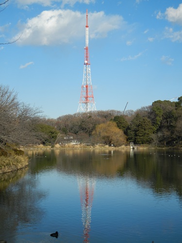 三ツ池公園にて