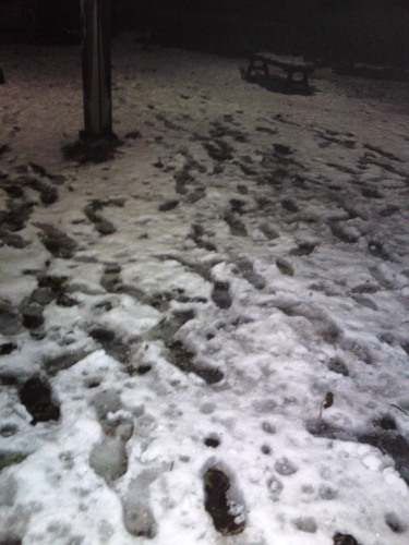 SN3O0011b20160118.jpg