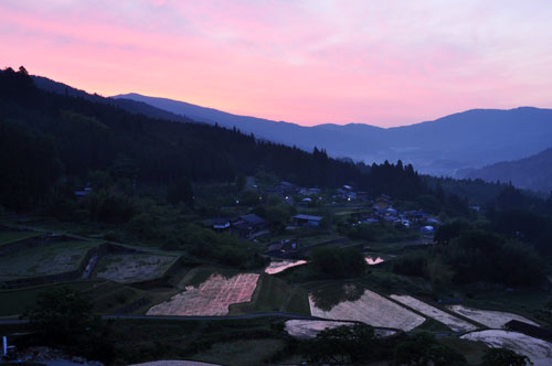 棚田３