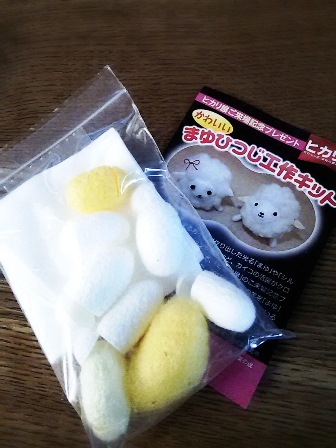2015-01-13-22-03-14_deco.jpg