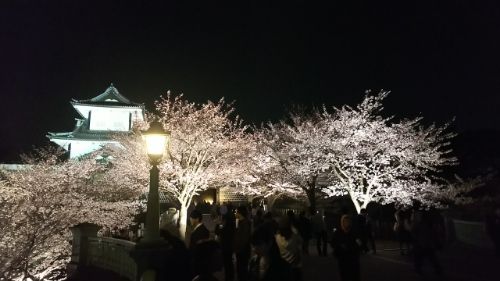 rblog-20180402223228-02.jpg