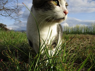 IMG_8124ss.jpg
