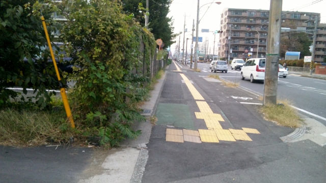 SH3J0874 (640x360).jpg