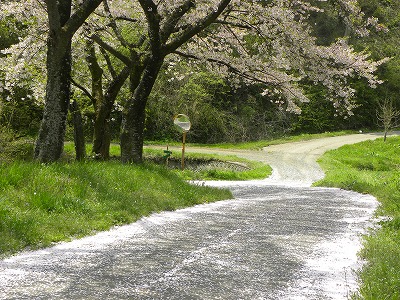 DSCN8497.jpg