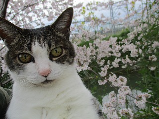 IMG_8955ss.jpg