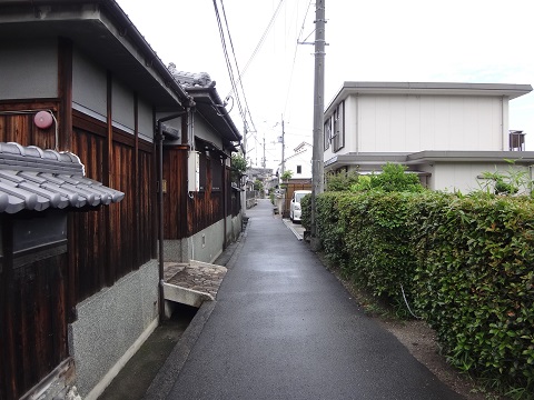DSC09171.JPG