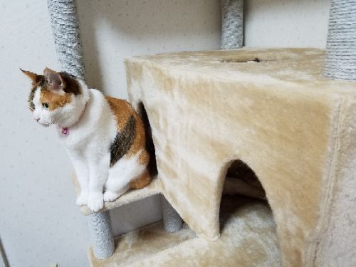 rblog-20180930022547-01.jpg